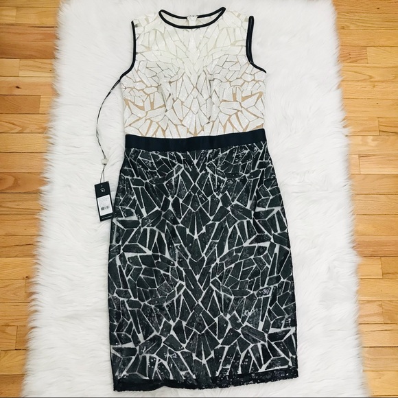 Tadashi Shoji Weber Sequin Embroidered Dress - Picture 3 of 16